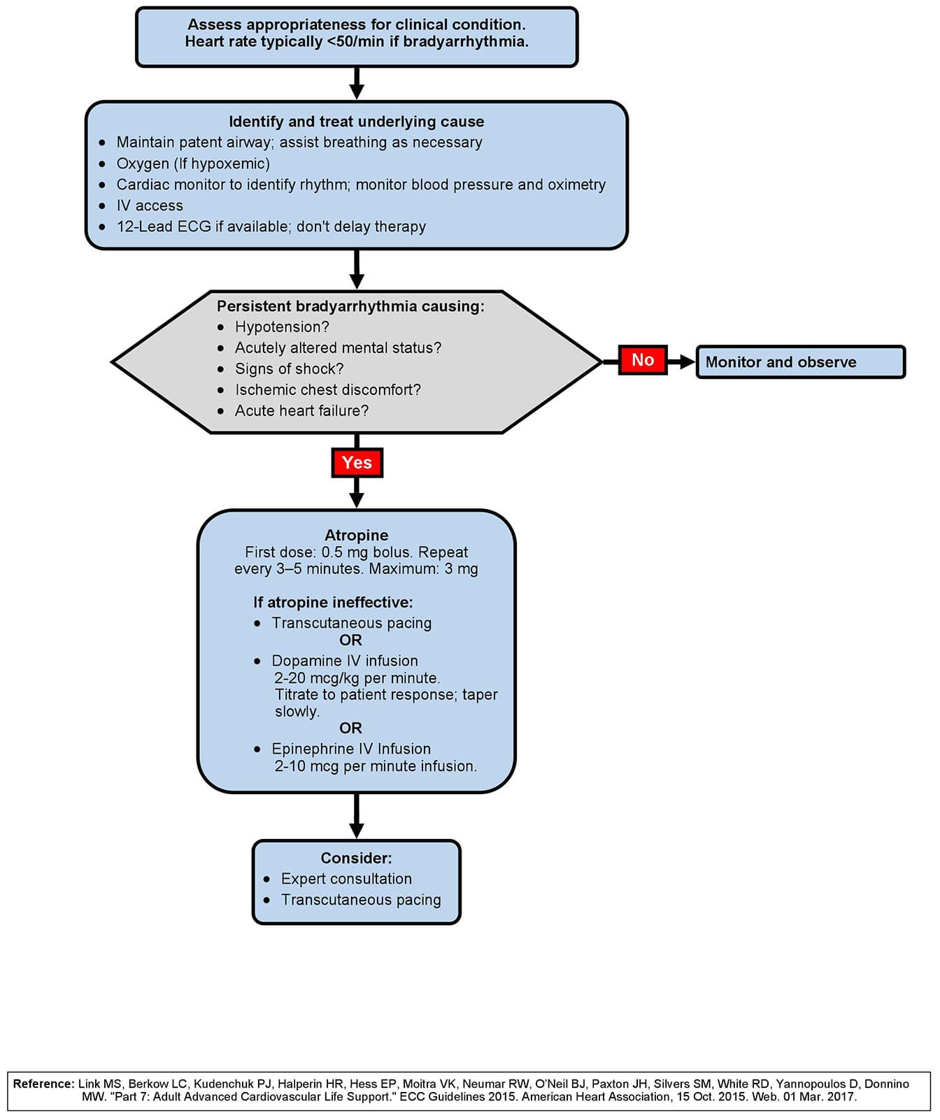 Adult Bradycardia with a Pulse Algorithm